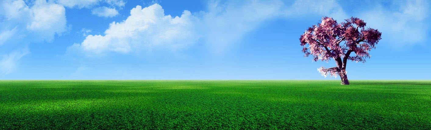 pink tree, green grass, blue sky.