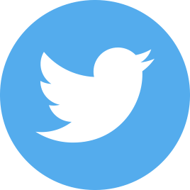 Twitter Icon