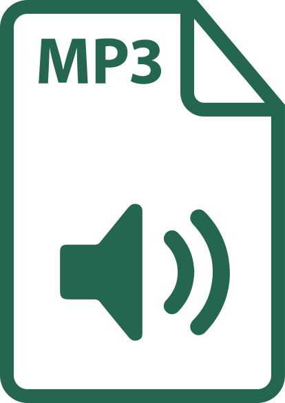 MP3